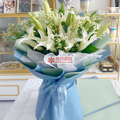 衡阳8支白色多头百合洋甘菊，互倾的思念